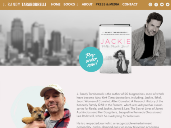 Bestselling author website design